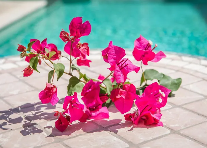 Llenyater By Mainvillas Less Than 1km From The Center Of Villa Pollenca