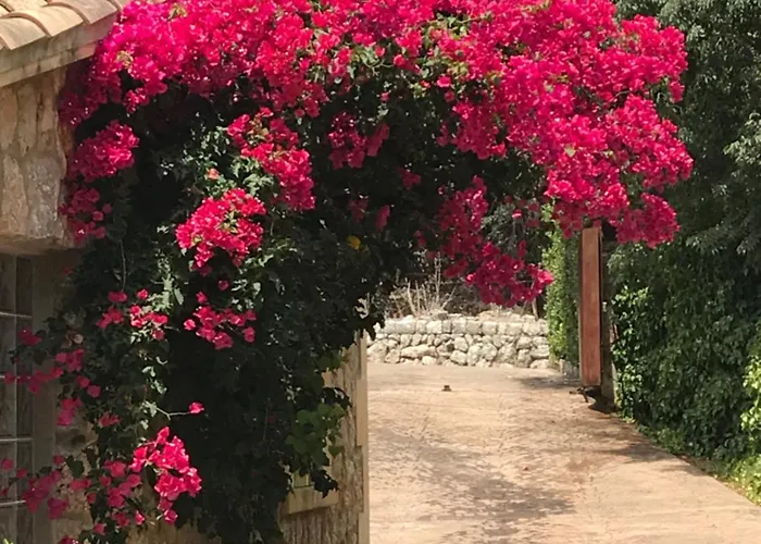 Villa Llenyater By Mainvillas Less Than 1km From The Center Of