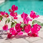 Llenyater By Mainvillas Less Than 1km From The Center Of 别墅 波连斯萨