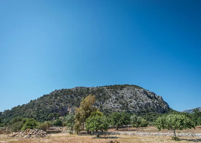 Llenyater By Mainvillas Less Than 1km From The Center Of *